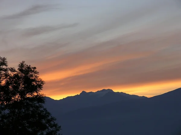 stock image Evening Light