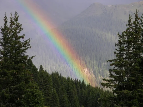 Stock image Rainbow