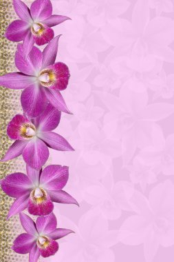 Orchids Border clipart