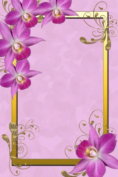 Orchids Frame — Stock Photo, Image