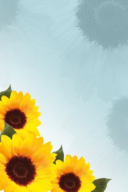 Sunflower clipart