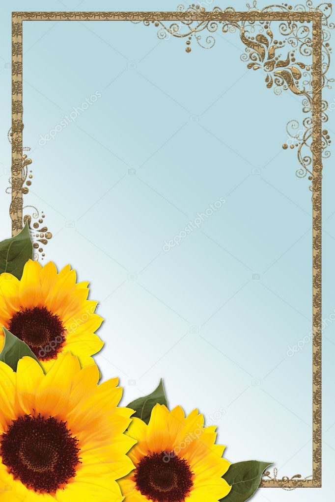 single sunflower border