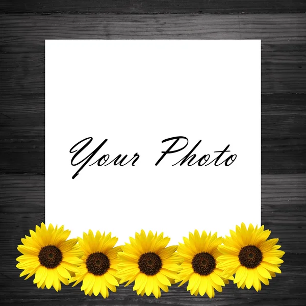 Wooden frame with sunflowers — Stock Photo, Image