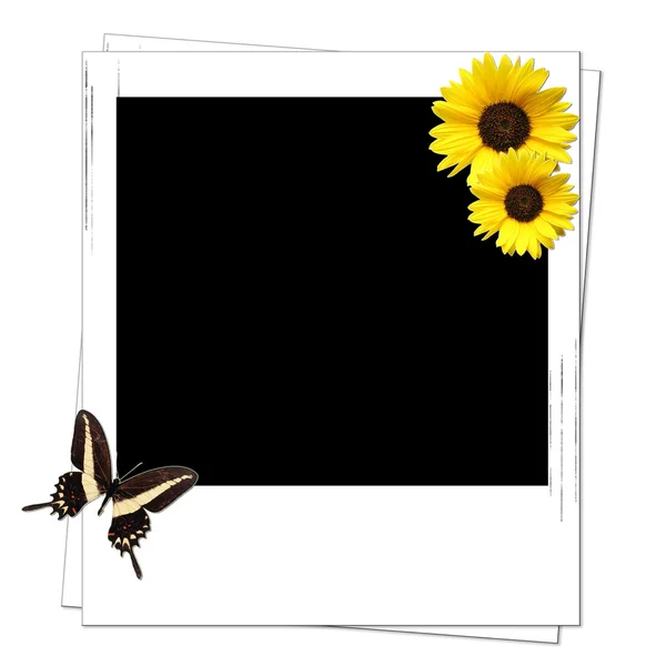 Polaroid z słoneczniki — Zdjęcie stockowe
