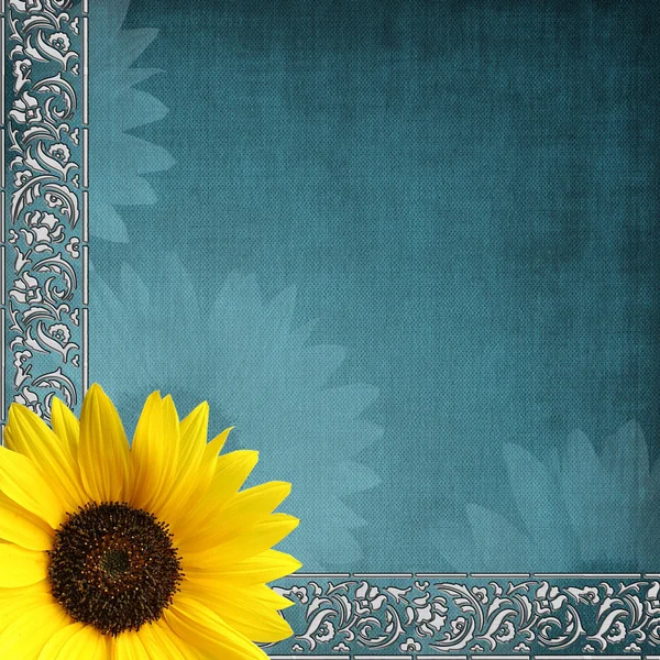 Modrý obal s slunečnice — Stock fotografie