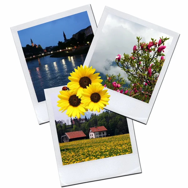 Collage polaroid —  Fotos de Stock