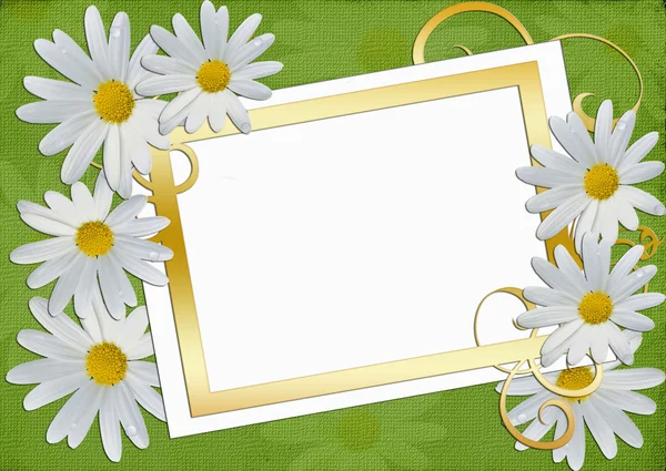 Belo cartão de congratulação ou convite — Fotografia de Stock