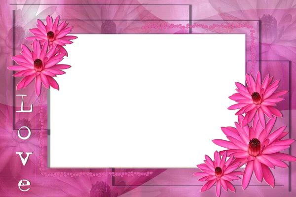 Lavendel lotus gränsen — Stockfoto