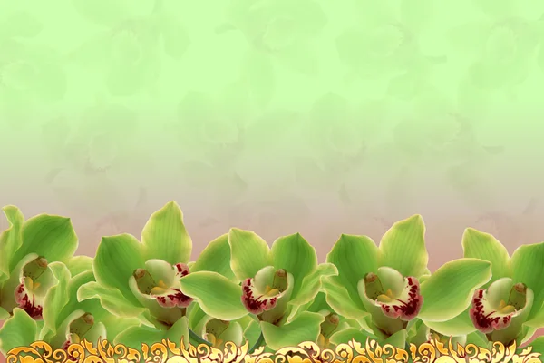 Hintergrund Orchideen — Stockfoto
