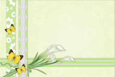Three calla lilies background with lace clipart
