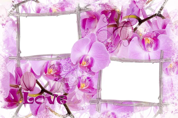 Twee bamboe frames met orchideeën — Stockfoto