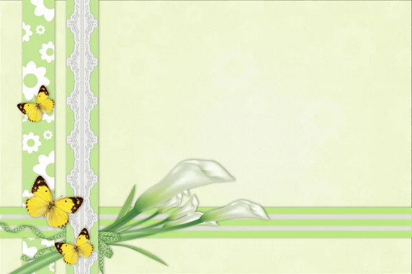 Three calla lilies background with lace — Stock Photo, Image