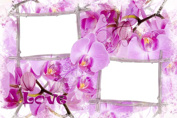 Two bamboo frames with orchids — Stock Photo, Image