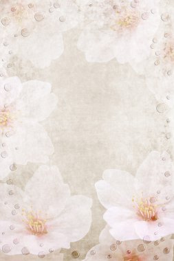 Pink and white floral background clipart