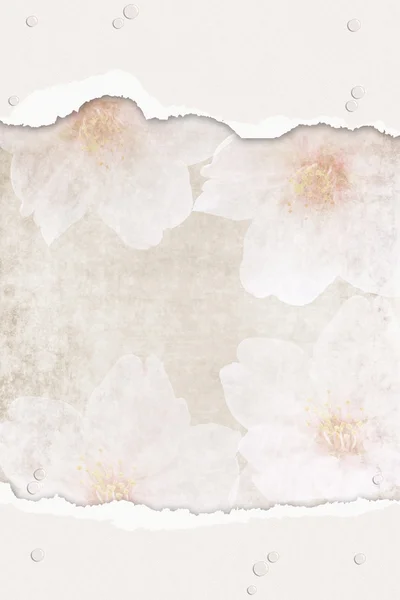 Pembe ve beyaz çiçek arka plan — Stok fotoğraf