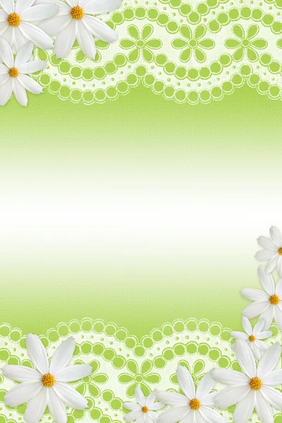 Abstract background with white daisy, lace and a space for a tex — Stock Photo, Image