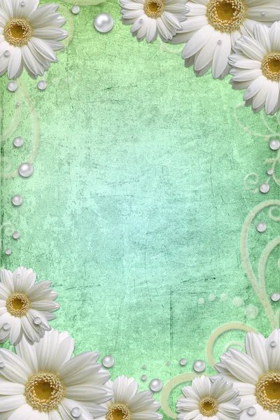 Abstrakt bakgrund med vita daisy på grange bakgrund — Stockfoto