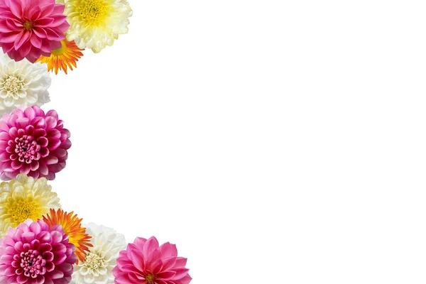 Ramki kolorowe kwiaty na białym tle — Zdjęcie stockowe