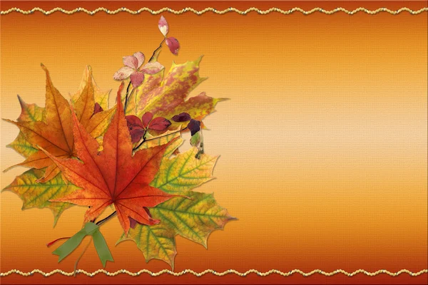 Outono folhas de bordo coloridas — Fotografia de Stock