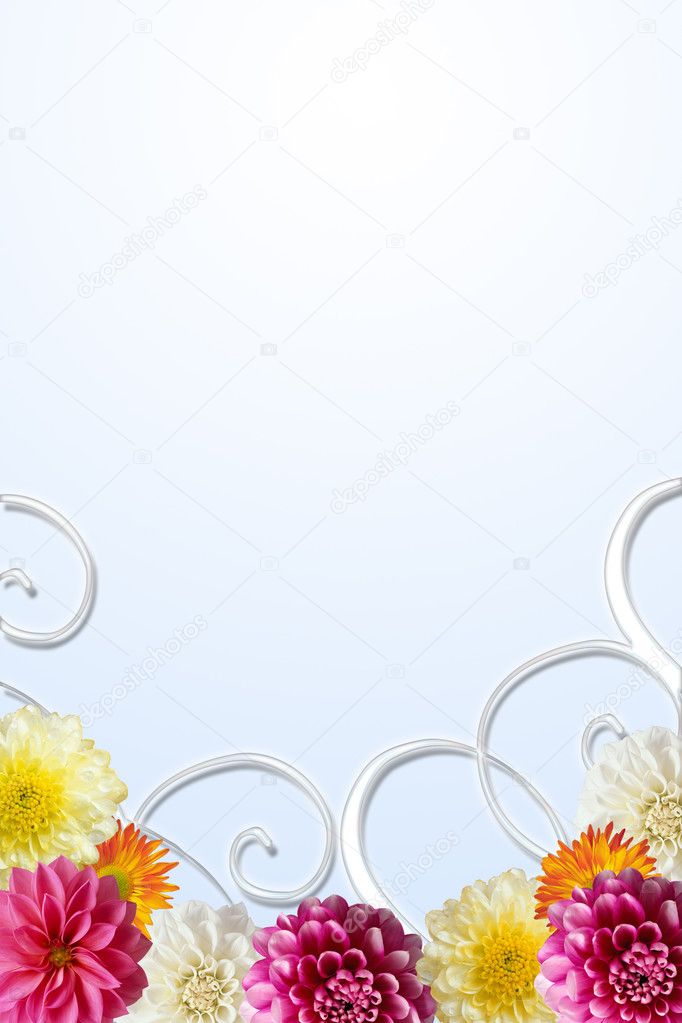 Colorful flowers frame on white background