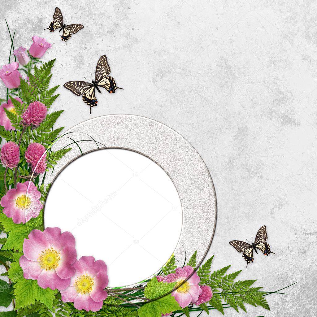 Frame on background with pink daisy and butterfly