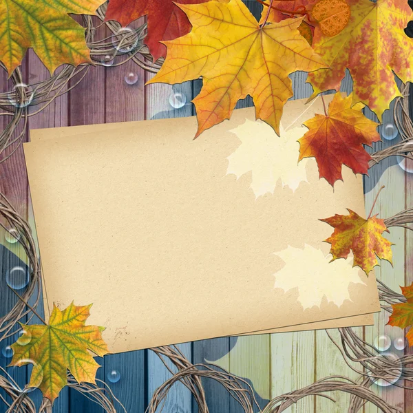 秋の着色されたカエデを葉します。 — ストック写真