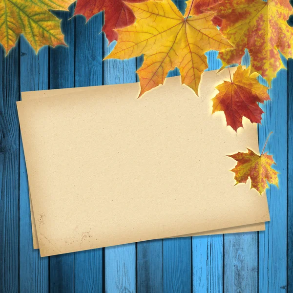 Autumn colored maple leaves — Stock Photo, Image