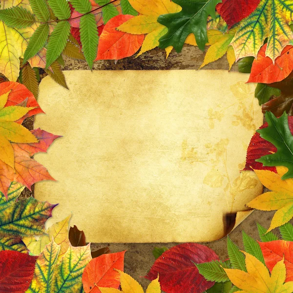 Cartão grange em branco cercado por belas folhas de outono — Fotografia de Stock