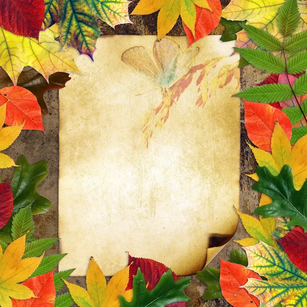Tarjeta de grange en blanco rodeada de hermosas hojas de otoño —  Fotos de Stock