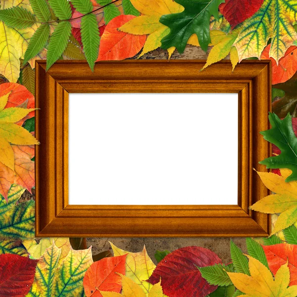 Holzrahmen auf grauem Hintergrund, umgeben von wunderschönem Herbst — Stockfoto