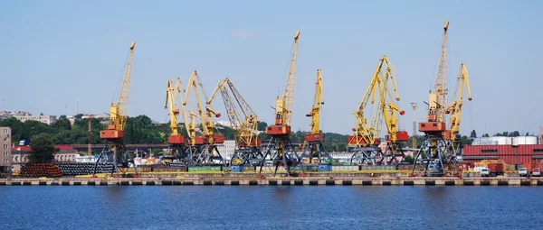 Cranes in the port — Stock Photo, Image