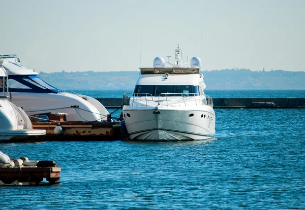 Yachts blancs à la marina — Photo