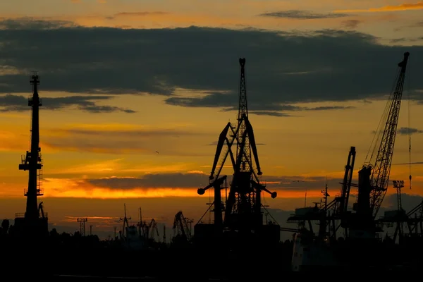 Silhouettes de grues dans le port — Photo