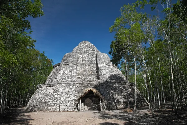 Xaibe mayan πυραμίδας στην coba, Μεξικό — Φωτογραφία Αρχείου