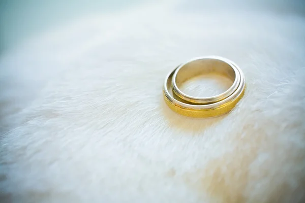 Wedding rings on the boa — Stock Photo, Image