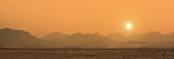 Zonsondergang in sahara woestijn — Stockfoto