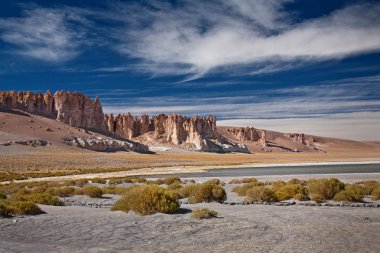 Rock cathedrals in Salar de Tara, Chile clipart