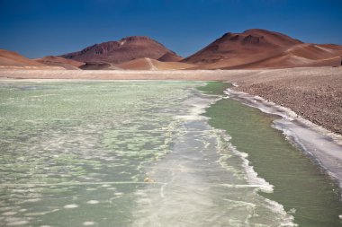 elmas lagün atacama Çölü, Şili