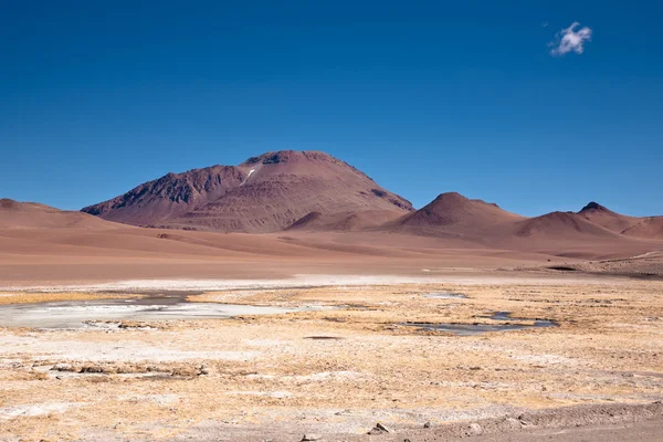 Lagoa congelada no deserto do Atacama, Chile — Fotografia de Stock