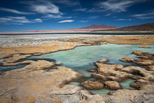盐湖 salar de 塔拉，阿塔卡马沙漠、 智利 — 图库照片