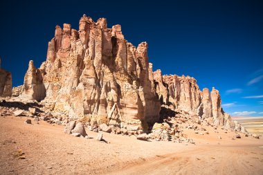 Rock cathedrals in Salar de Tara, Chile clipart