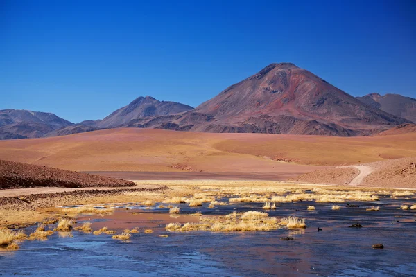Stratovolcano Cerro Colorado near Rio Putana in Atacama region, Chile — Stock Photo, Image