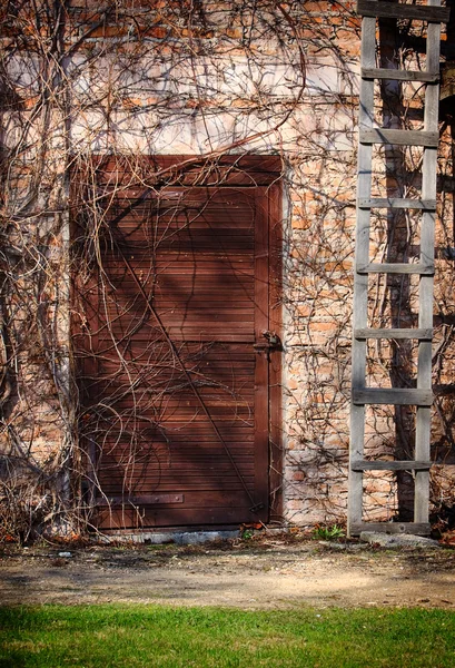 Geheime deur en ladder — Stockfoto