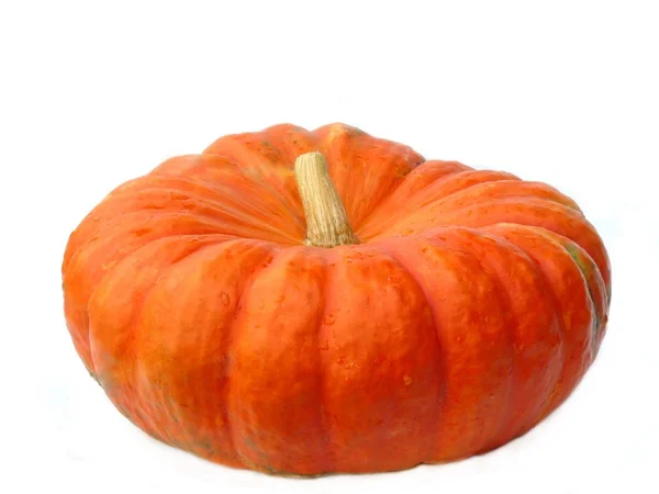 stock image Gourd