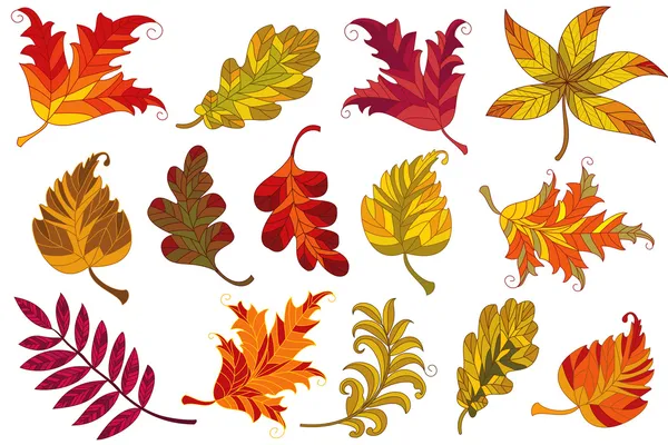 Hojas de otoño — Archivo Imágenes Vectoriales