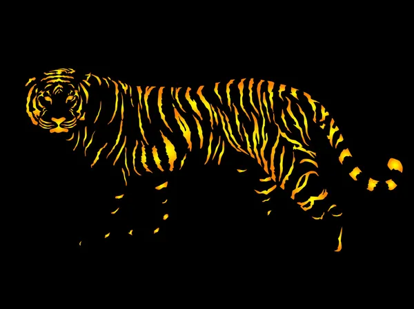 Tigervektor — Stockvektor