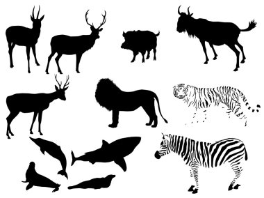 Animal vector clipart