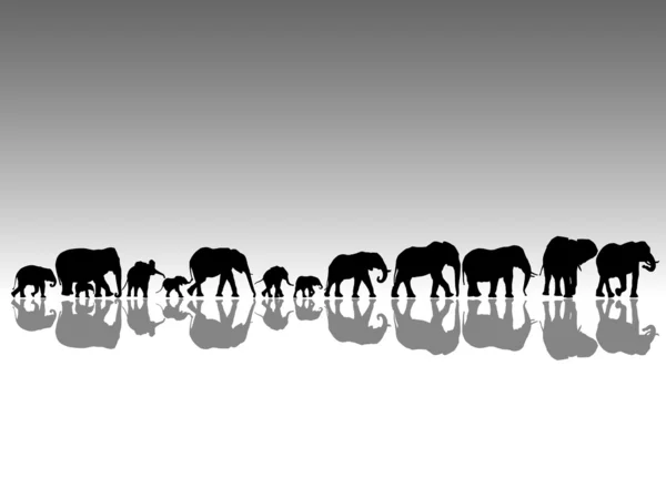 Elefantes —  Vetores de Stock
