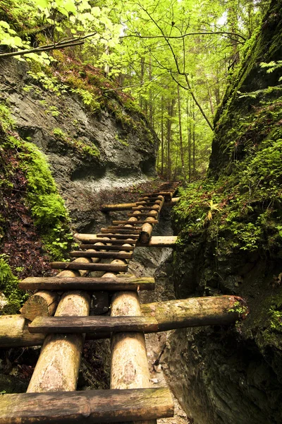 Parque nacional - Paraíso eslovaco, Eslovaquia — Foto de Stock