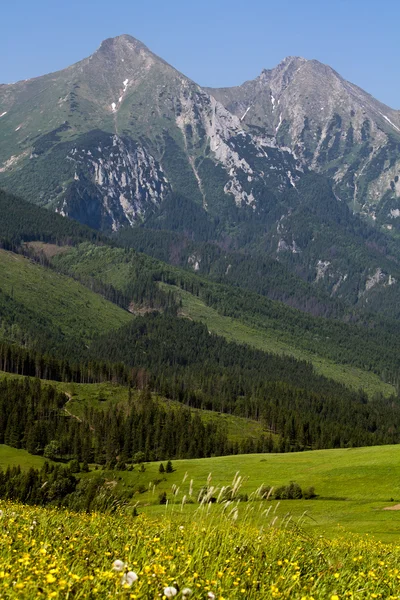 Hign Tatra — Stok fotoğraf